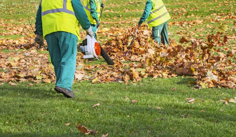 Leaves Being Disposed of Properly