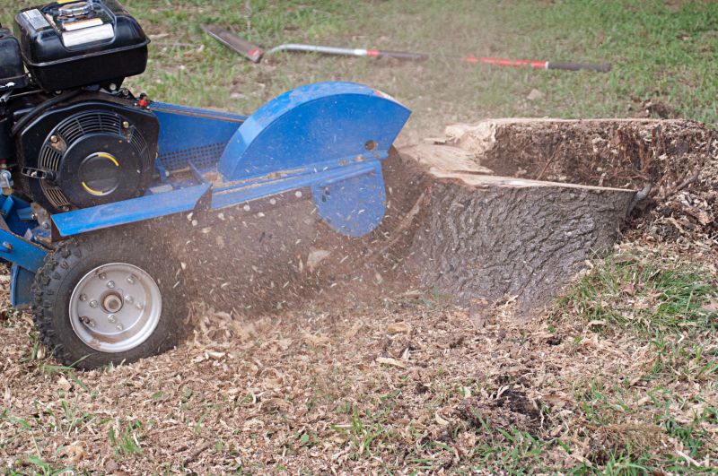 Stump Grinding and Cleanup