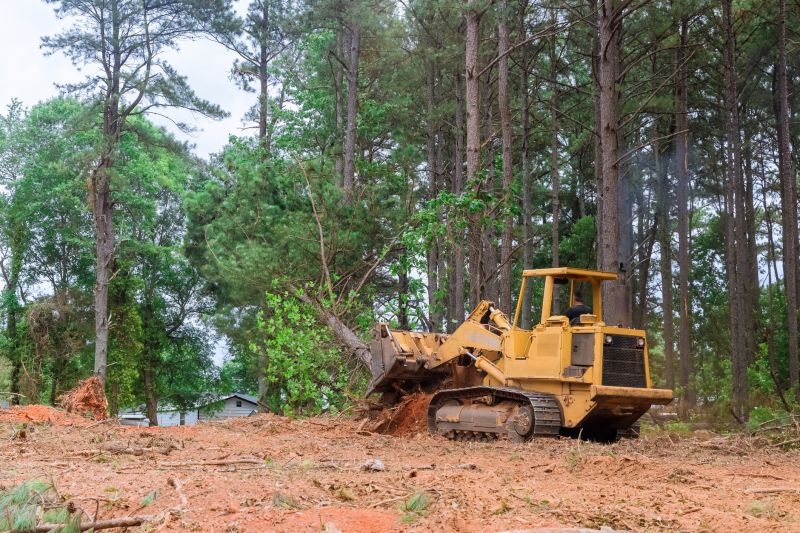 Building Site Clearing in Gwinnett County, GA